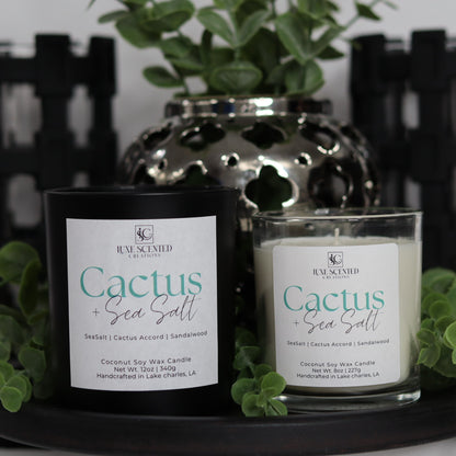 Cactus + Sea Salt Candle