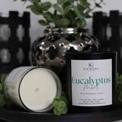 Eucalyptus & Mint Candle